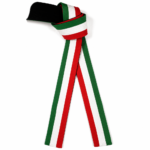 mexican flag martial arts belt with green white red stripes by Dravon Industries