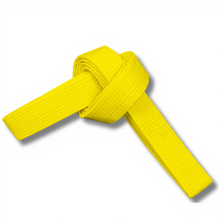 solid martial arts rank belt with 8 row stitching by Dravon Industries
